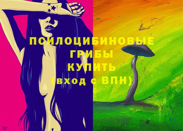 первитин Кукмор