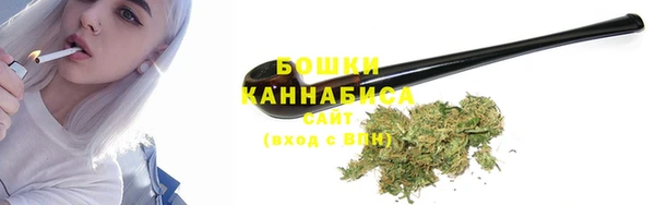 PSILOCYBIN Лабытнанги
