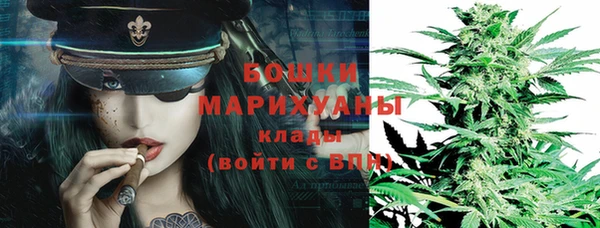 амф Ладушкин