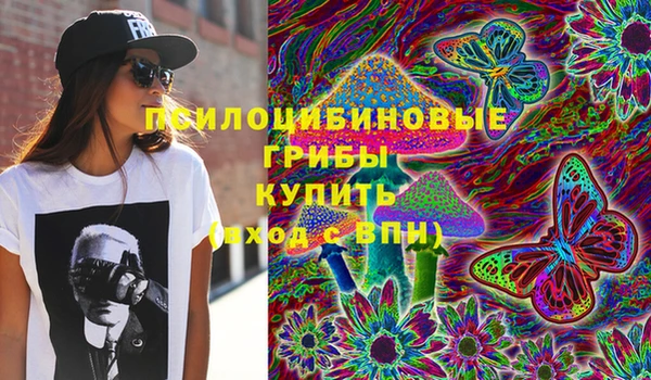соль ск Краснослободск